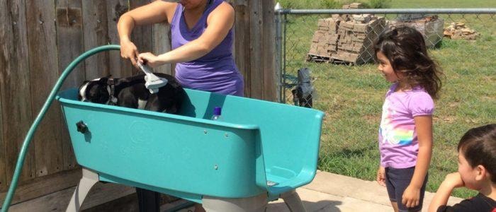 Free dog wash station at Texas 6 RV Park pet friendly RV park near Houston